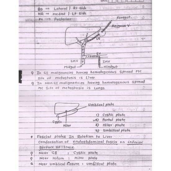 Surgery Handwritten Notes by Dr.P.Singh 2017