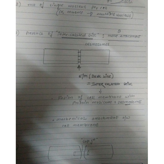 Physiology Handwritten Notes by Dr. S. Manna