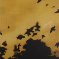 Parvaaz by Ruskin Bond