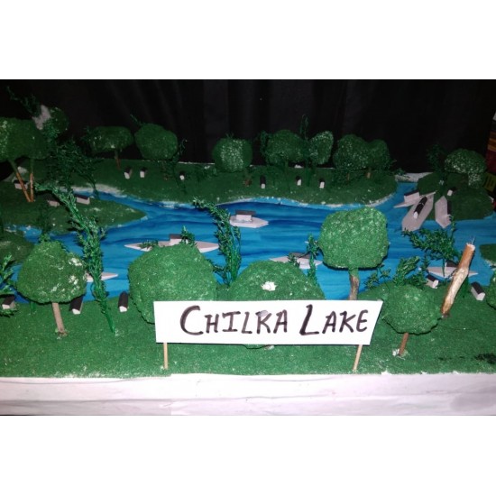 Chilika Lake School Model