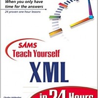 Sams Teach Yourself XML in 24 Hours (Sams Teach Yourself in 24 Hours) Paperback  7 Aug 2000 by Michael Morrison