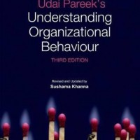 UDAI PAREEK'S UNDERSTANDING ORG.BEHV.3 E 3rd Edition  by Udai Pareek, Sushama Khanna