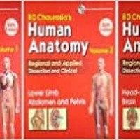 Human Anatomy By B D Chaurasia's 6th Edition (Set Of 3 Books) by BD CHAURASIA 