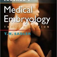 Langmans Medical Embryology 12/e PB 1st Edition by T W Sadler