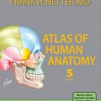 Atlas Of Human Anatomy by Frank H Netter