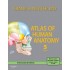 Atlas Of Human Anatomy by Frank H Netter