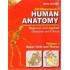 Human Anatomy by BD Chaurasia upper limb and thorax vol-1 5th Edition 