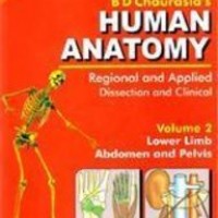 Human Anatomy - Reigional And Apllied Dissection And Clinical (Volume 2) Lower Limb Abdomen And Pelvis by Bd Chaurasia