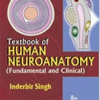 Textbook Of Human Neuroanatomy Fundamental And Clinical by Inderbir Singh