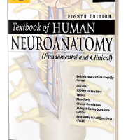 Textbook of Human Neuroanatomy (Fundamental and Clinical)  Fundamental and Clinical 8th Edition by Singh Inderbir