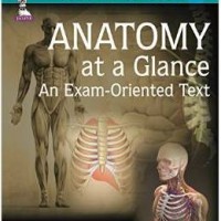 Anatomy At A Glance An Exam Oriented Text 2nd Edition by Sibani Mazumdar