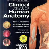 McMinns Clinical Atlas of Human Anatomy 6th Edition by Peter H Abrahamas