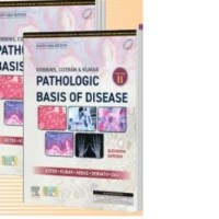 Robbins and Cotran Pathologic Basis of Disease 2 Volumes Set 11th Edition with Pathology at a Glance South Asia Edition 2025 by Robbins, Cotran, Kumar