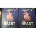 The Heart by Hurst's 13th edition 2 volumes included in it 