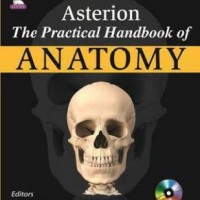 Asterion the practical of handbook of anatomy by Ajai Sasi