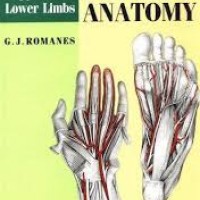 Cunningham's Manual of Practical Anatomy: Volume 1. Upper and Lower Limbs: Upper and Lower Limbs Vol 1 