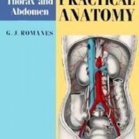 Cunningham's Manual of Practical Anatomy: Volume II: Thorax and Abdomen by ROMANES