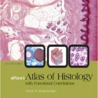 Difiore'S Atlas of Histology with Functional Correlations with the Point Access Scratch Code 11th Edition by  Eroschenko Victor P