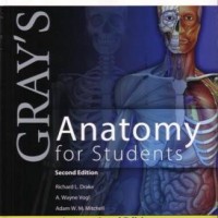 Gray's Anatomy for Students 2nd Edition by Richard L Drake