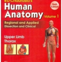 BD Chaurasia's Human Anatomy Vol. 1 6th edition by Chaurasia B. D