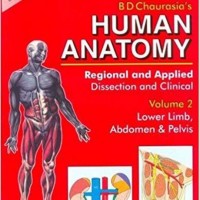 Human Anatomy by B.D  Chaurasia 4th Edition Vol-2 Lower Limb abdomen & Pelvis 
