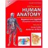 Human Anatomy by B.D  Chaurasia 4th Edition Vol-2 Lower Limb abdomen & Pelvis 