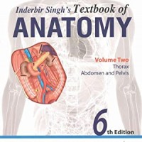 Textbook Of Anatomy Vol 2 by Inderbir Singh 