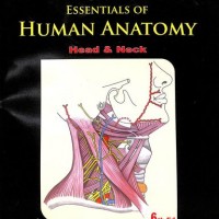 Essentials Of Human Anatomy Vol 2 : Head and Neck 6th Edition by Ak Datta
