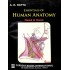Essentials Of Human Anatomy Vol 2 : Head and Neck 6th Edition by Ak Datta