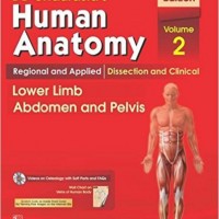 Human Anatomy Lower Limb Abdomen and Pelvis 7th Edition Volume 2 by Bd Chaurasia