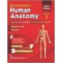 Bd Chaurasias Human Anatomy Edition 8 Vol1 Upper Limb Thorax by Bd Chaurasia