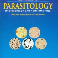Parasitology Protozoology & Helminthology  (English, Paperback, Chatterjee K.D.)