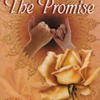 The Promise by Chital Mehta The Promise by Chital Mehta