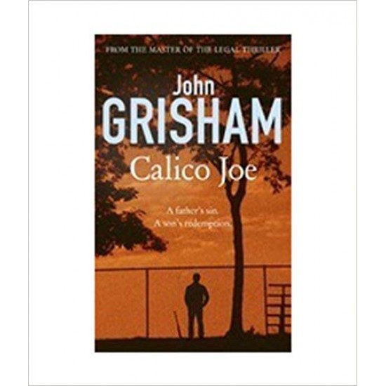 Calico Joe Paperback – 2012 by GRISHAM JOHN 