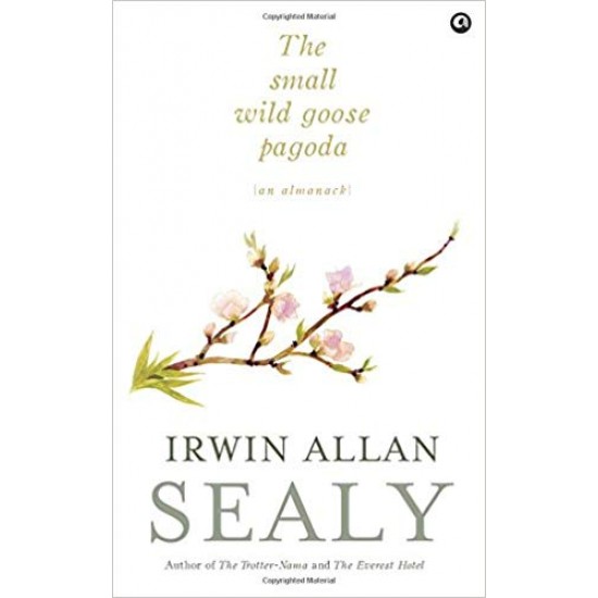 The Small Wild Goose Pagoda by Irwin Allan Sealy 