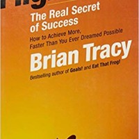 Flight Plan by Brian Tracy 
