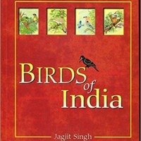 Birds of India  by Jagjit Singh 