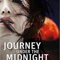 Journey Under the Midnight Sun [Paperback] [Jan 01, 2015] Higashino, Keigo by Keigo Higashino
