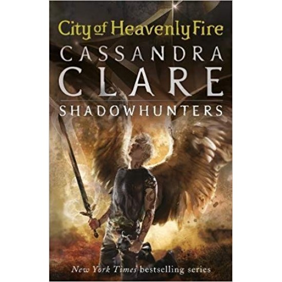 The Mortal Instruments 6: City of Heavenly Fire Paperback – February 5, 2015 by Cassandra Clare  (Author)