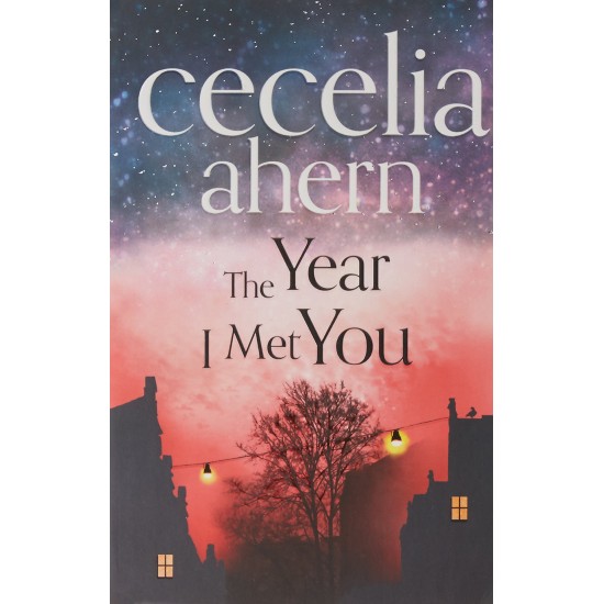 THE MET YEAR I MET YOU by Cecelia Ahern