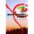 A Roller Coaster Ride by by Saumil Shrivastava