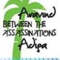 Between the Assassinations by Aravind Adiga
