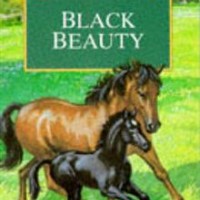Black Beauty by Lady Bird Classics 