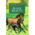 Black Beauty by Lady Bird Classics 