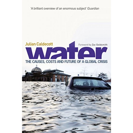 Water  The Causes, Costs, and Future of a Global Crisis by Julian Caldecott 
