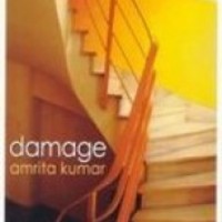 Damage by Amrita Kumar