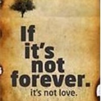 If Its Not Forever Its Not Love by Durjoy Datta