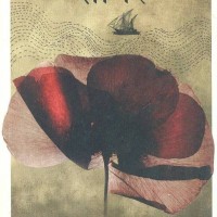 Afeem Sagar - Sea of Poppies  (Hindi, Paperback, Amitabh Ghosh)