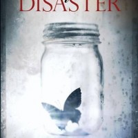 Beautiful Disaster by McGuire Jamie