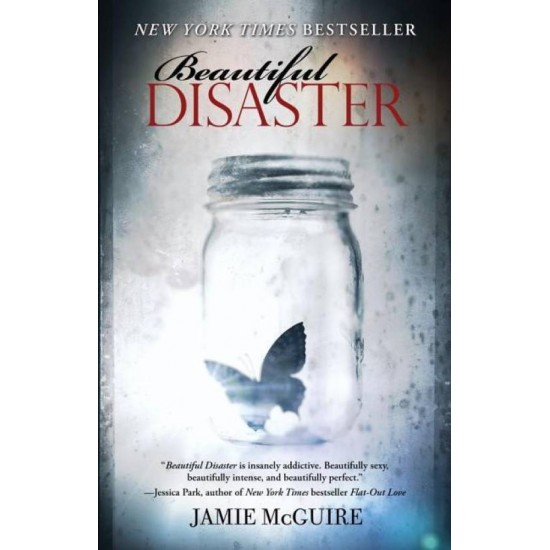 Beautiful Disaster by McGuire Jamie